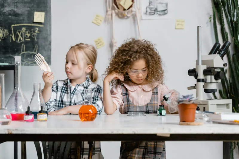 The Artificial Borders of Science: How Disciplinary Silos Are Teaching Students a Version of Reality That Doesn't Exist