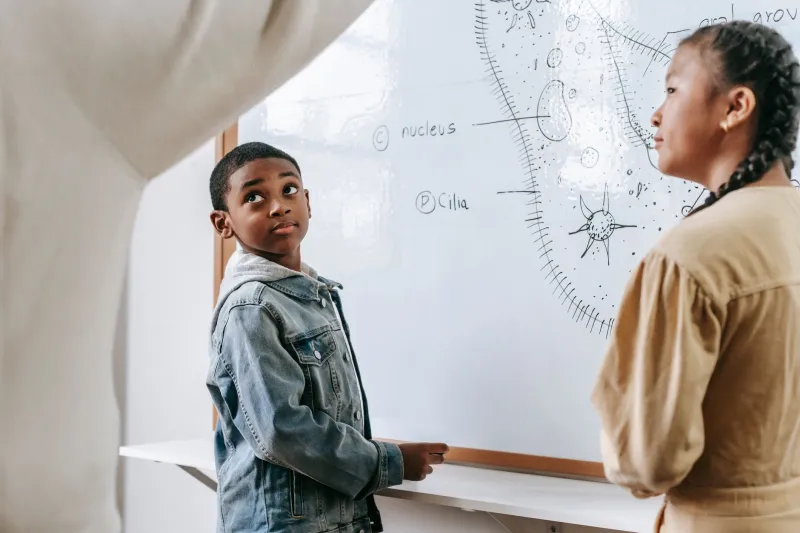 Science Fair or Science Theater? How Student Competitions Reward Performance Over Process